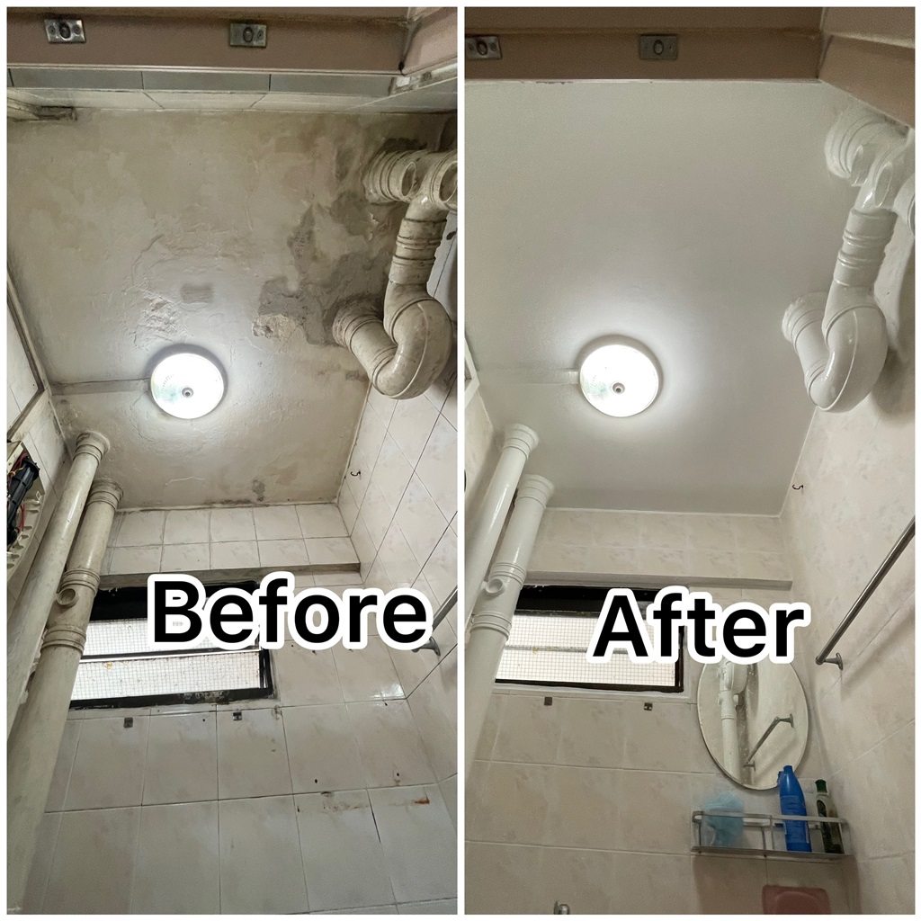 Admin/Service/Details/plaster and paint.jpg